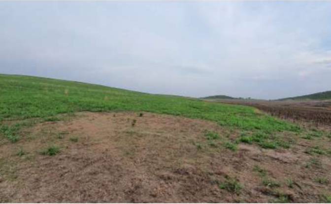 Land/Lot for Sale Alto Coite, Poxoreu. Photo#15 Land/Lot for Sale Alto Coite, Poxoreu. Photo#15
