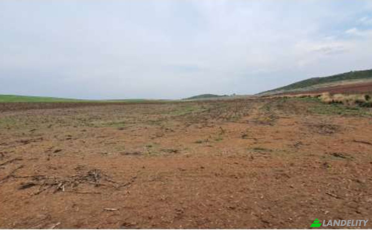 Land/Lot for Sale Alto Coite, Poxoreu, Bahia - Alto Coite, Poxoreo, State of Mato Grosso, Brazil. Photo 16