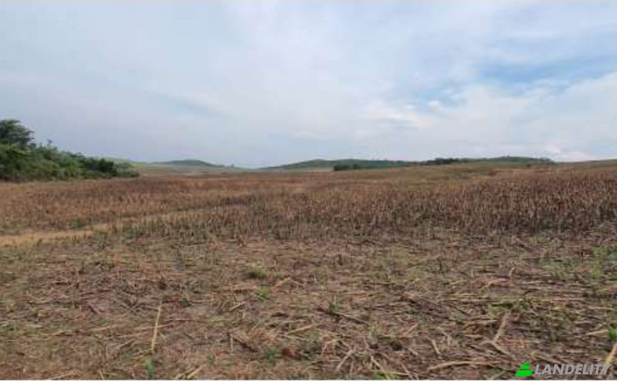 Land/Lot for Sale Alto Coite, Poxoreu, Bahia - Alto Coite, Poxoreo, State of Mato Grosso, Brazil. Photo 17