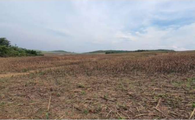 Land/Lot for Sale Alto Coite, Poxoreu. Photo#17 Land/Lot for Sale Alto Coite, Poxoreu. Photo#17