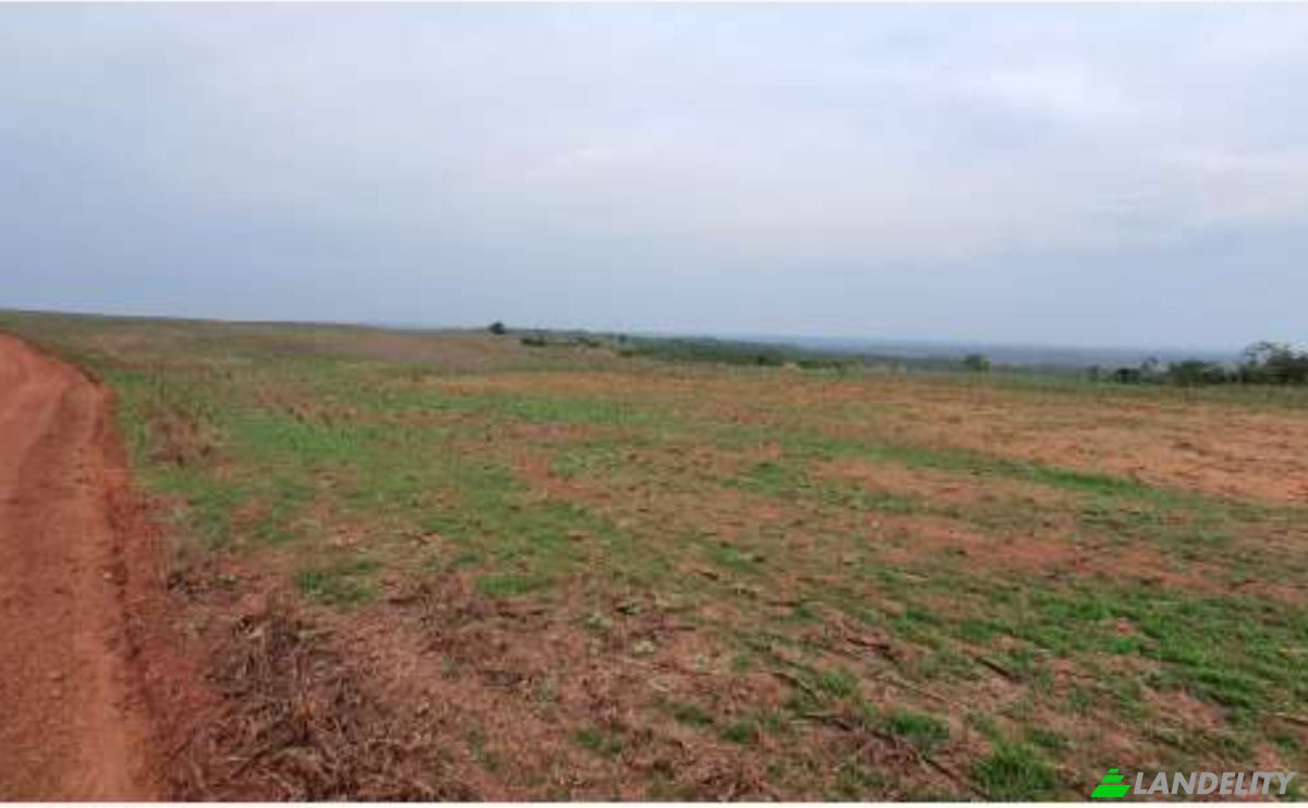 Land/Lot for Sale Alto Coite, Poxoreu, Bahia - Alto Coite, Poxoreo, State of Mato Grosso, Brazil. Photo 21