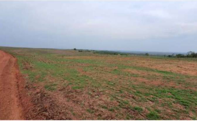 Land/Lot for Sale Alto Coite, Poxoreu. Photo#21 Land/Lot for Sale Alto Coite, Poxoreu. Photo#21