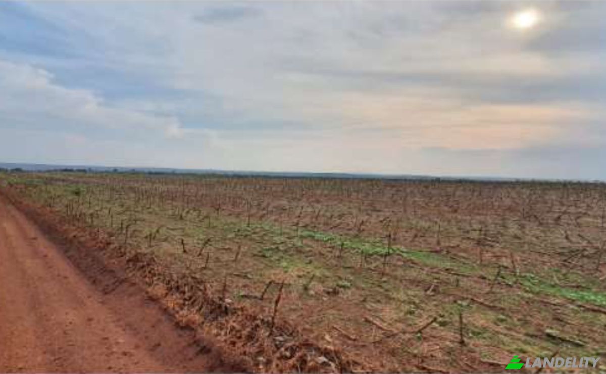 Land/Lot for Sale Alto Coite, Poxoreu, Bahia - Alto Coite, Poxoreo, State of Mato Grosso, Brazil. Photo 22