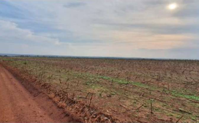 Land/Lot for Sale Alto Coite, Poxoreu. Photo#22 Land/Lot for Sale Alto Coite, Poxoreu. Photo#22