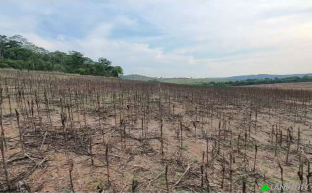 Land/Lot for Sale Alto Coite, Poxoreu, Bahia - Alto Coite, Poxoreo, State of Mato Grosso, Brazil. Photo 23