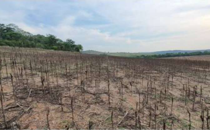 Land/Lot for Sale Alto Coite, Poxoreu. Photo#23 Land/Lot for Sale Alto Coite, Poxoreu. Photo#23