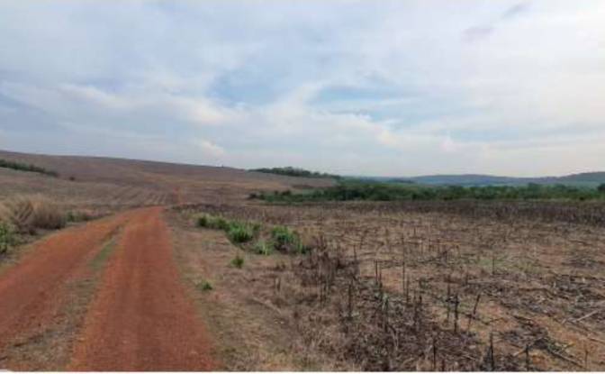 Land/Lot for Sale Alto Coite, Poxoreu. Photo#24 Land/Lot for Sale Alto Coite, Poxoreu. Photo#24