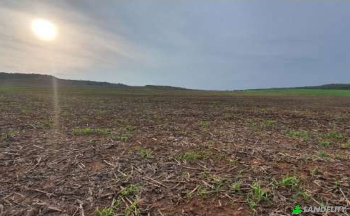 Land/Lot for Sale Alto Coite, Poxoreu, Bahia - Alto Coite, Poxoreo, State of Mato Grosso, Brazil. Photo 9