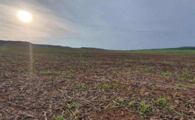 Land/Lot for Sale Alto Coite, Poxoreu. Photo#9 Land/Lot for Sale Alto Coite, Poxoreu. Photo#9