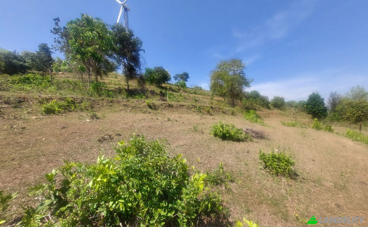 Земля/Ділянка продаж Sholayur, Palakkad, Kerala, India, Kerala 678581. Фото 5