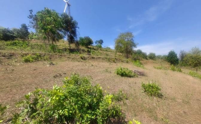 Земля/Ділянка продаж Sholayur, Palakkad, Kerala. Фото#5 Земля/Ділянка продаж Sholayur, Palakkad, Kerala. Фото#5