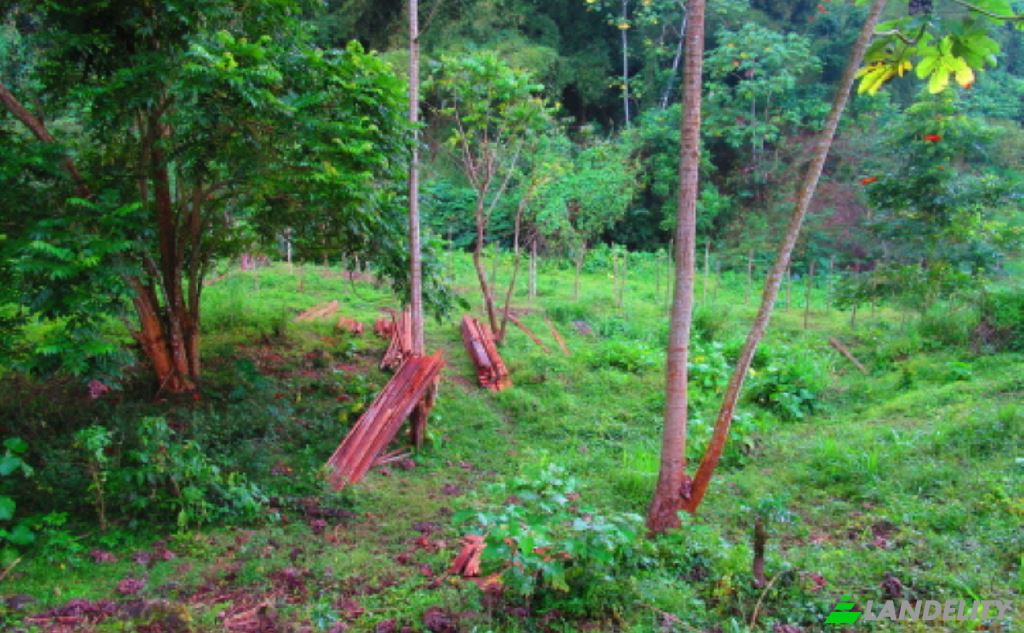 Land/Lot for Sale Kingston, St Andrew Parish, Jamaica. Photo 3