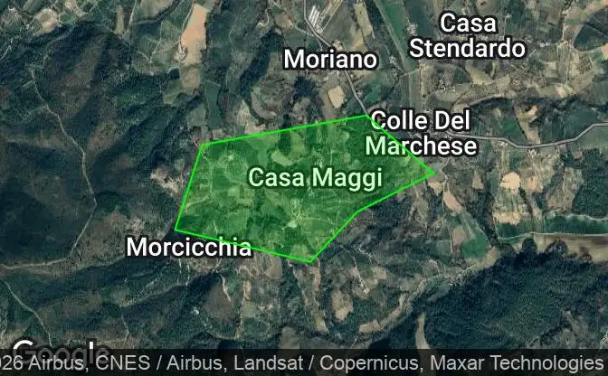 Show on map Property #2375 - Property Location on the Map