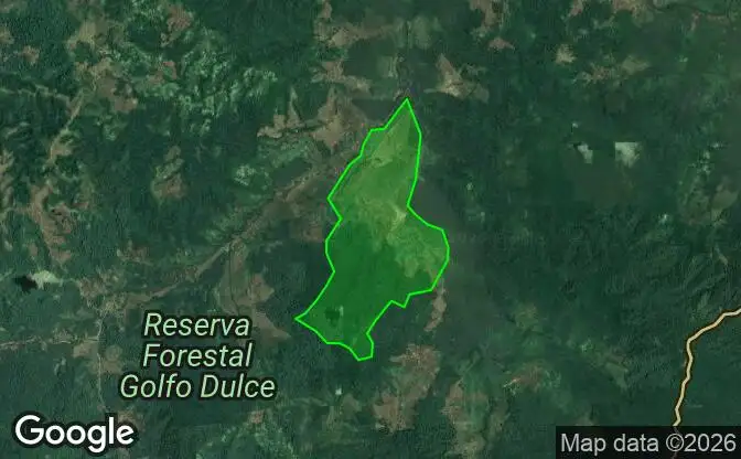 Show on map Property #2519 - Property Location on the Map