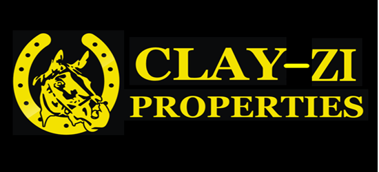 Logo image Clay-zi Properties
