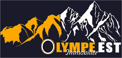 Logo image Francis LEMONNIER